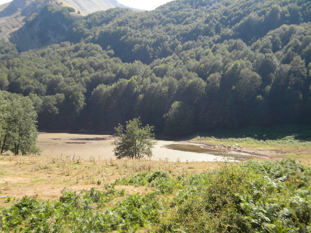 DSCN2752 .JPG
